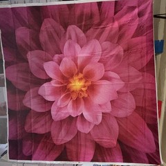 Hoffman Spectrum Print by Jeanie Sumrall-Ajero 45” x 45” panel