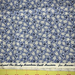 VTG Aunt Grace by Judie Rothermel for Marcus Brothers, 1930’s Print, 1yd x 42”