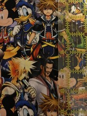 Magical Kingdom Characters #44 Inspired Tumbler Fabric 100% Cotton Woven 7×14”