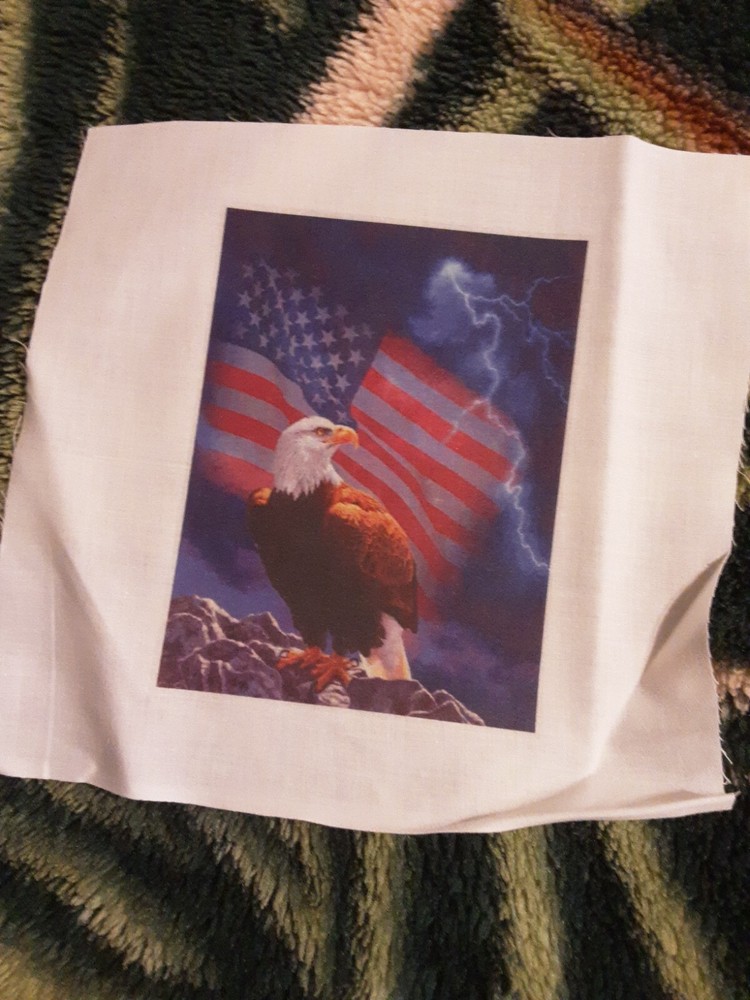 4 Eagle Squares 7 L X 7 W Multicolor