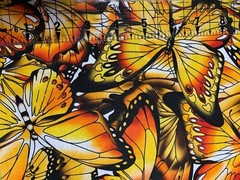 Fabric Butterfly Wings Monarch on White KAUFMAN Cotton 1/4 yard SRKD-18708-130