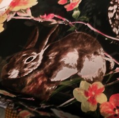 2 Yd Wild Animal Owl Chiffon Apparel Fabric Wood Floral Bunny Black