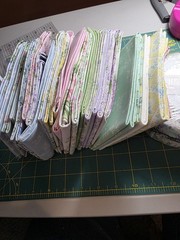 RJR Fabrics Afternoon In The Attic FQ Set PLUS Pixie Strips Roll