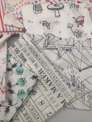 10 Piece Fat Quarters by Dear Stella for Hawthorne Supply Co Birds Pineapple