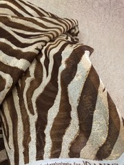Jo-Ann Fabric 128 x 56 inches piece-56-Wide Brown & Cream Sheer Zebra Print