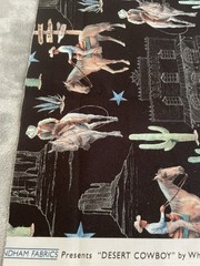 Windham Fabric Presents Desert Cowboy by Whistler Studios 18 Inches x 42 Inches
