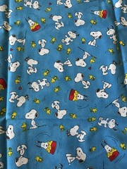 Snoopy Woodstock Peanuts Comics Characters Dogbowl Fabric Print: 19 1/2” x 43”