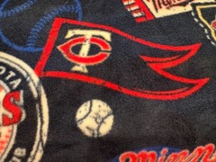Two Yards of Minnesota Twins Fleece Fabric