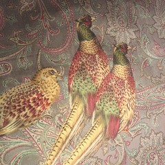Ralph Lauren Hunting Manor Paisley, Italian Cotton Velvet, BTY, Sable