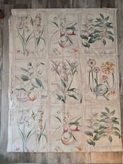 P Kaufman Decorator Fabric Large Scale Botanical Floral 54 X 102″