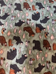 3 Yards Teresa Kogut Bear Lake South Sea Imports SSI Black Bear Fish Duck Cotton