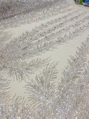 White Celestial Fern Beaded Lace Fabric – Crystal Embroidered Tulle Prom Fabric