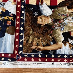 Boy Scouts America Patriotic Stars Stripes Panel Joseph Csatari