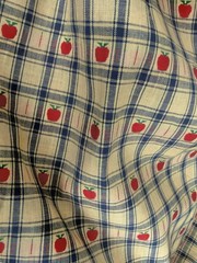4 Yards Blue Beige Red Gingham Plaid Cotton Fabric Lot VTG French Country Woven