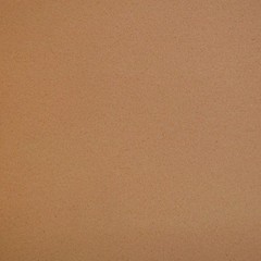 Ranger Boat 3/8 Foam Back Vinyl 9000392 | Buck Beige 54 Inch (YD)