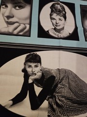 46 X 43 Vintage Audrey Hepburn Hollywood Icons Cinema 1985 Robert Kaufman Fabric