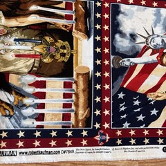 Boy Scouts America Patriotic Stars Stripes Panel Joseph Csatari