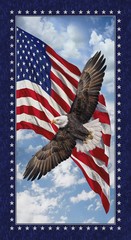 Land of the Free ~ American, Flag, Eagle, Patriotic Quilt Panel ~ 24″ x 44″