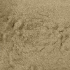 Suede-Tex Flocking Fiber 3 oz Bag Goose Gray Nylon