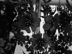 Black 3D Flower Beaded Embroidered Mesh Lace Fabric 50” Wide 1 Yard