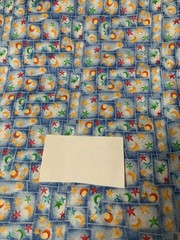 “ Our World “ Celestial Fabric By Running Rhino & Balson Hercules Red Blue BTHY