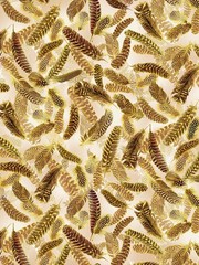 Basics Fabric | Gilded Feathers Toss Brown Cream | Kanvas Studio YARD