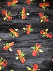 FIREFLY TOSS by Eric Carle The Very Hungry Caterpillar for Andover # 4446 BTFQ