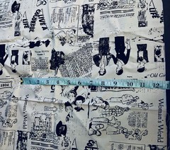 “Fancy & Fabulous” # C4843 by Fancy Pants Designs for Riley Blake BTFQ