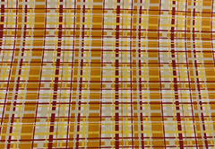 “Fresh Aire” Fabric By BJ Lantz For Studio E Floral & Plaid 2 Pc Fat Quarter Lot