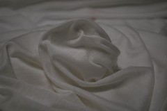 Tencel Knit jersey Fabric Ecofriendly Feather Weight Tencel Pfd undyed Sheer