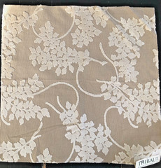 THIBAUT Spring Velvet in Beige 17 1/4 x 17 3/8″ Textural Fabric Sample