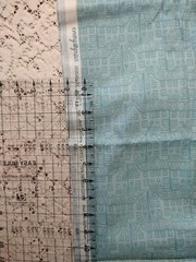 Emmy Grace Art Gallery Fabrics by Bari J Blue Tiny Houses Cotton Print BTHY