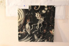 Clarke & Clarke Quetzal Velvet Mythical Bird Various Colors and Sizes