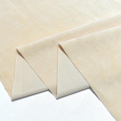 DIYLITTLE Beige Minky Fabric, Super Soft Short Pile Plush, 1 Yard | Multiple …