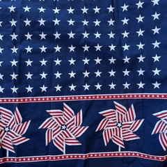 WIDE Pinwheel Double Border Patriotic American Stars Stripes Daisy Kingdom 3 Y
