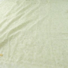 6Y+ x 55″ Vintage Sheer Voile Fabric Drapery Floral Rose Ethereal Sage Green