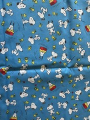Snoopy Woodstock Peanuts Comics Characters Dogbowl Fabric Print: 19 1/2” x 43”