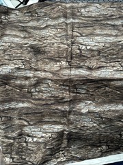 Paintbrush Studio Fabric Floral Vignette Wood Bark Tree Cotton Quilting 33 X 44