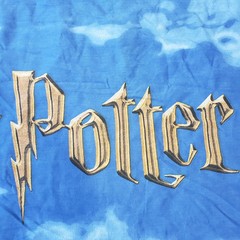 Harry Potter Flying Car Fabric Panel 36×50 Cheater Quilt Cotton Blue