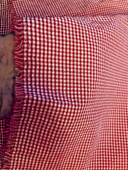 VTG Red & White Gingham Checks Seersucker Pucker Cotton 22″x21″