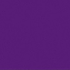 Benartex Superior Solid Color Fabric – 3000B-62 – GRAPE – By the Half Yard