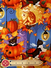 XXL SCRAP 12×22” Halloween Cat Fairies! Wings Costumes Moon Magic Cotton Fabric
