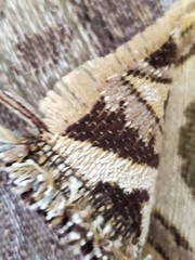 3 YARDS Luxury Upholstery Woven Jacquard Fabric Blue Tan Mediterranean Ogee