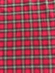 Fabric Red & Green Plaid Crisscrossing Black & Dark Green 22” X 42”