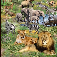 Patchwork Quilting Sewing Fabric Serengeti Plains Panel 62x110cm