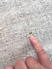 1.86 Yards – Natural Textured Wool Fabric Remnant – Oatmeal / Ivory