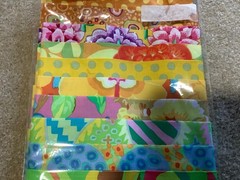 Kaffe Fassett- 10 Fat Quarter Bundle Set Free Spirit Cotton