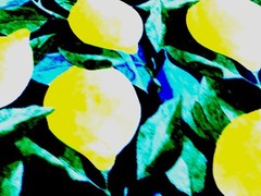 Richloom Solarium Outdoor Fabric Lemons Citrus In Sapphire 4.5 Yard Lot