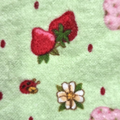 VTG Strawberry Shortcake Those Characters From Cleveland 2003 Flannel Green BTY