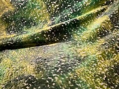 CASSARO PO2194/02 Pomona Velvet Emerald Viscose Poly Velvet Fabric Italy BTY